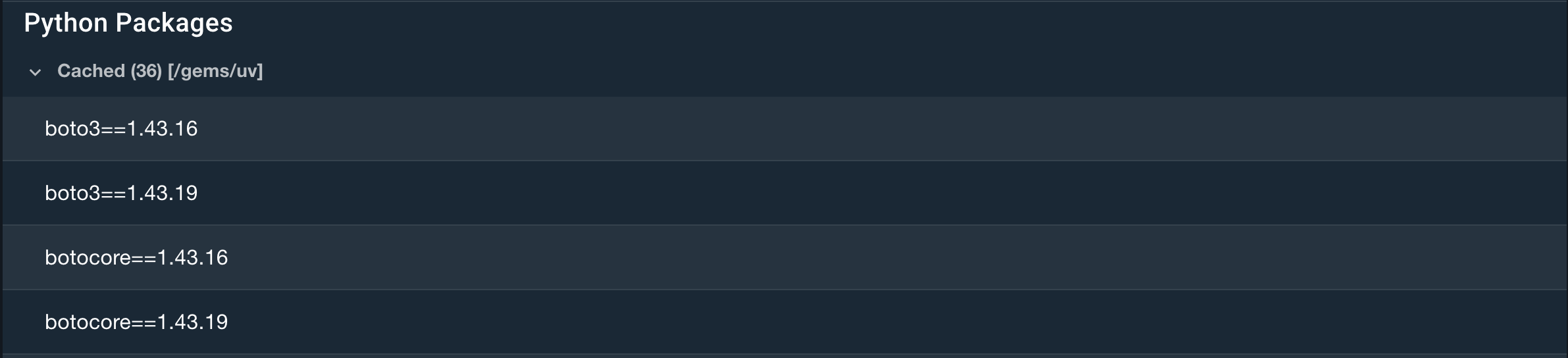 Multiple versions in cache